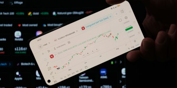 Inwestowanie dywidendowe - na czym polega, czy się opłaca?