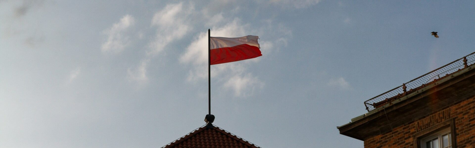 sławni Amerykanie polskiego pochodzenia